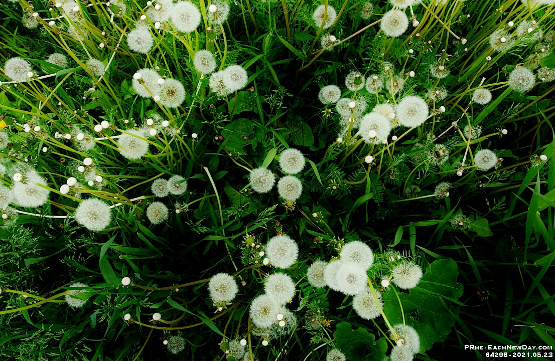 64298CrLeUsm - A Sunday walk along the trail north of Rossland Road